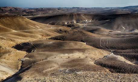 Dead-Sea Arava Red Timna Picture