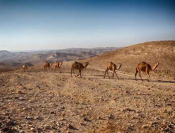 Dead-Sea Arava Red Timna Picture