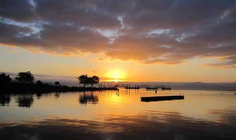 Israel Swim Sunrise Sea-Of-Galilee Picture