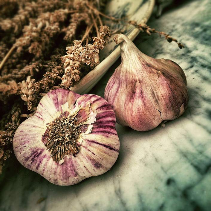 Aromatic Ingredient Spice Garlic
