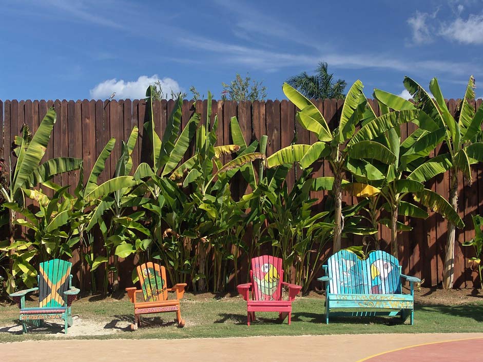 Fence Palm Vacations Beach