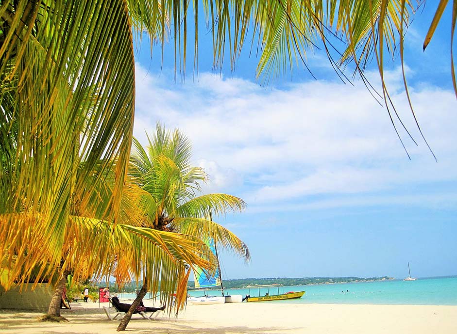 Beach Palm-Trees Jamaica Gorgeous