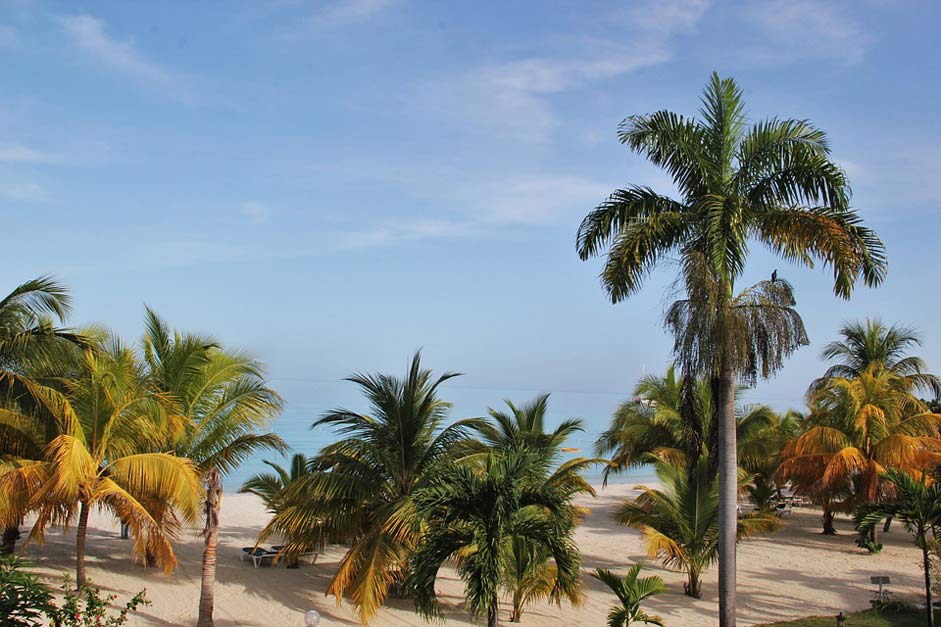 Typical-Jamaican Beach Palm-Trees Jamaica