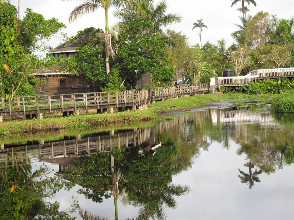 Reflections Water Stream Jamaica