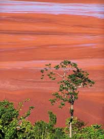 Jamaica Red Open-Pit-Mining Aluminium Picture