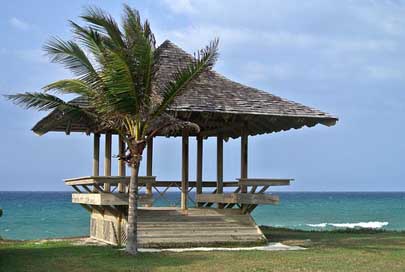 Jamaica Palm Caribbean Beach-Hut Picture