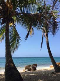 Beach Sea Sand Jamaica Picture