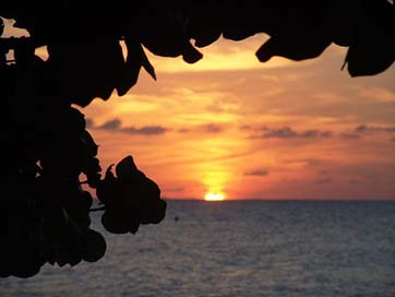Sunset Tropics Caribbean Jamaica Picture