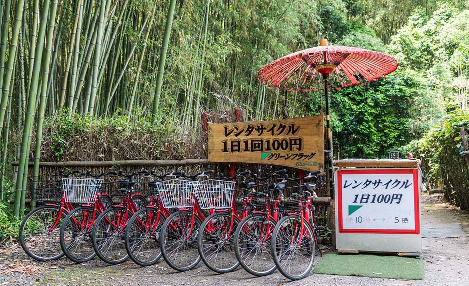 Tourism Bamboo-Forest Bike-Rentals Japan