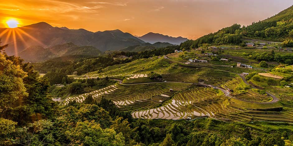 Nature Sunset Rice-Terraces Landscape