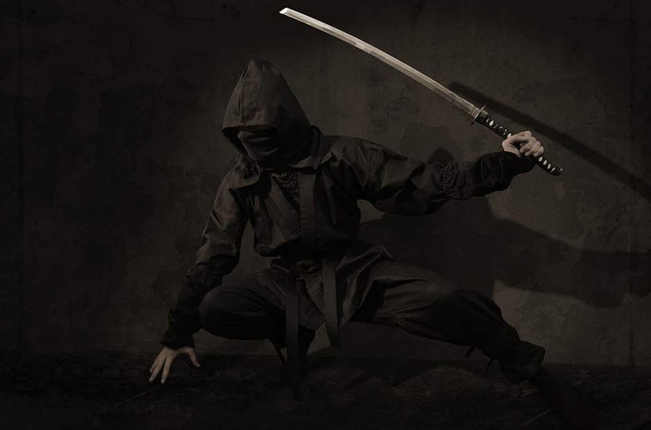 Assassin Japan Warrior Ninja