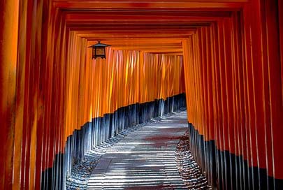 Torii Culture Architecture Gate Picture