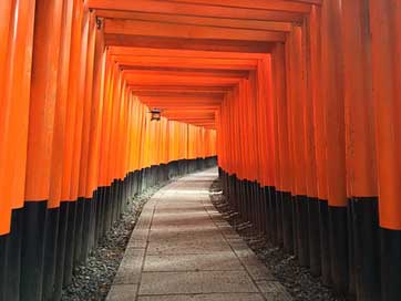 Shrine Temple Path Inari Picture