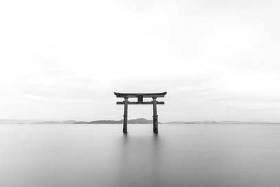 Tori Torii Shrine Japanese Picture