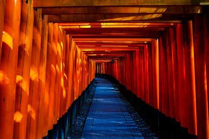 Japan Tunnel Architecture Temple Picture