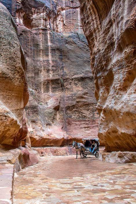 Road Horse Petra Jordan