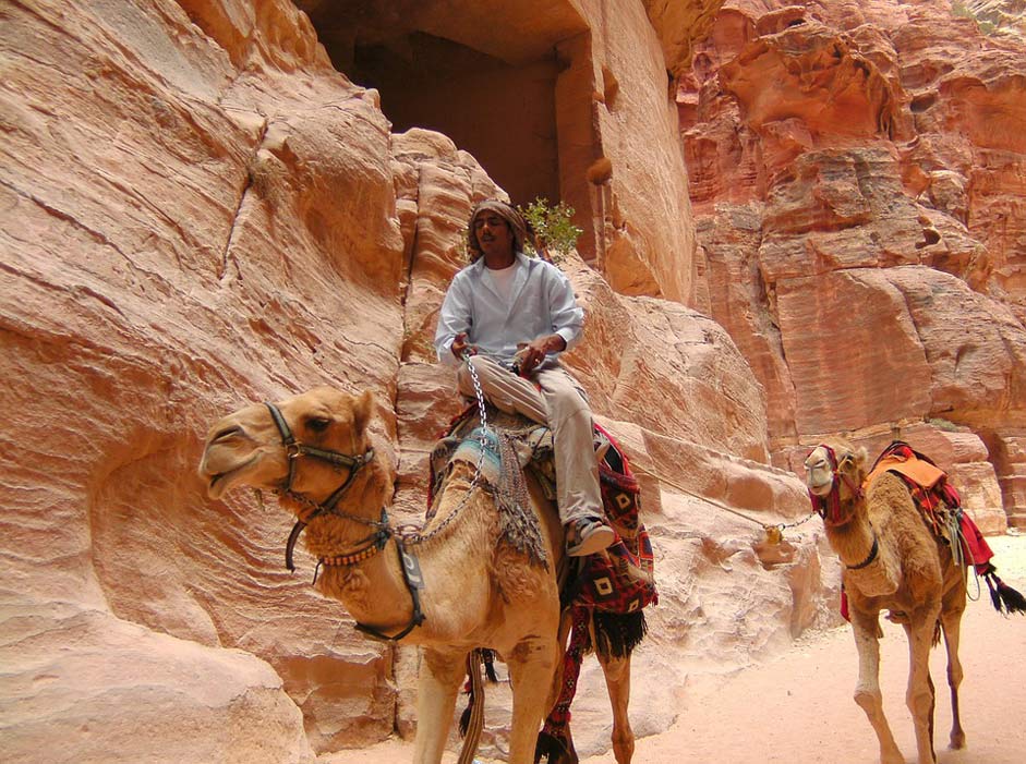  Camel Jordan Petra