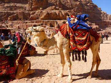 Petra Travel Vacations Jordan Picture