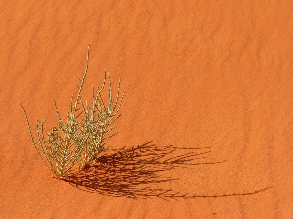 Jordan Negev-Desert Negev Wadi-Rum