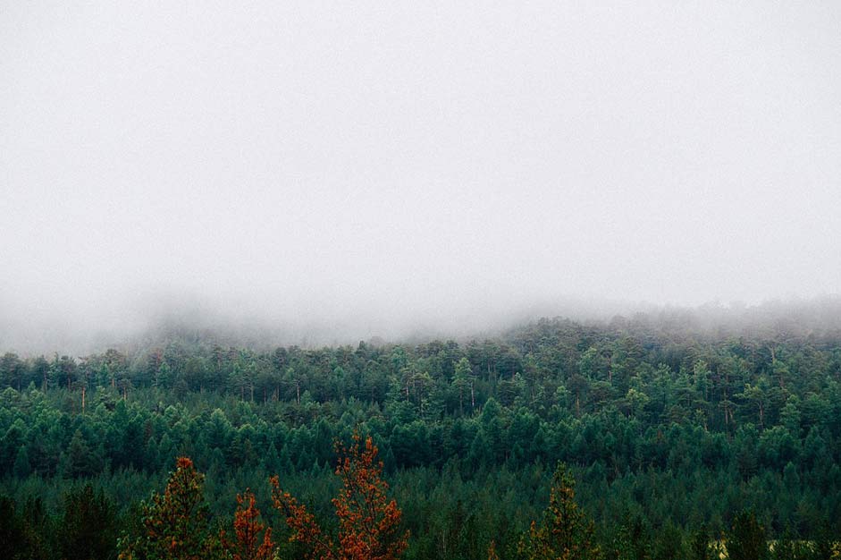 Autumn Forest Mountains Fog