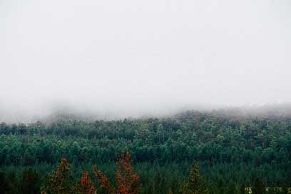 Fog Autumn Forest Mountains Picture