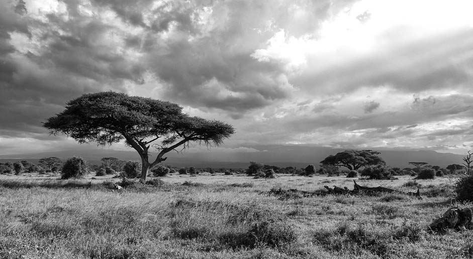 Nature Landscape Kenya Africa