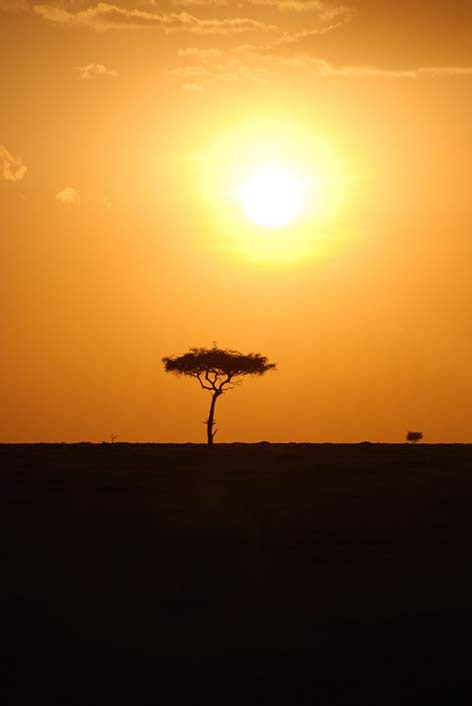 Silhouette Safari Kenya Africa
