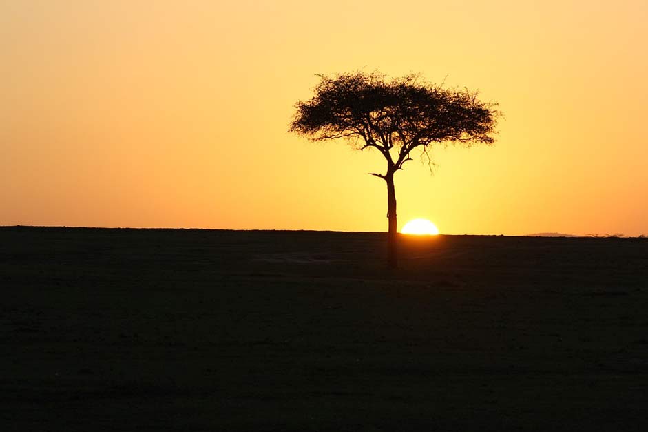 Africa Sunset Kenya Masai-Mara