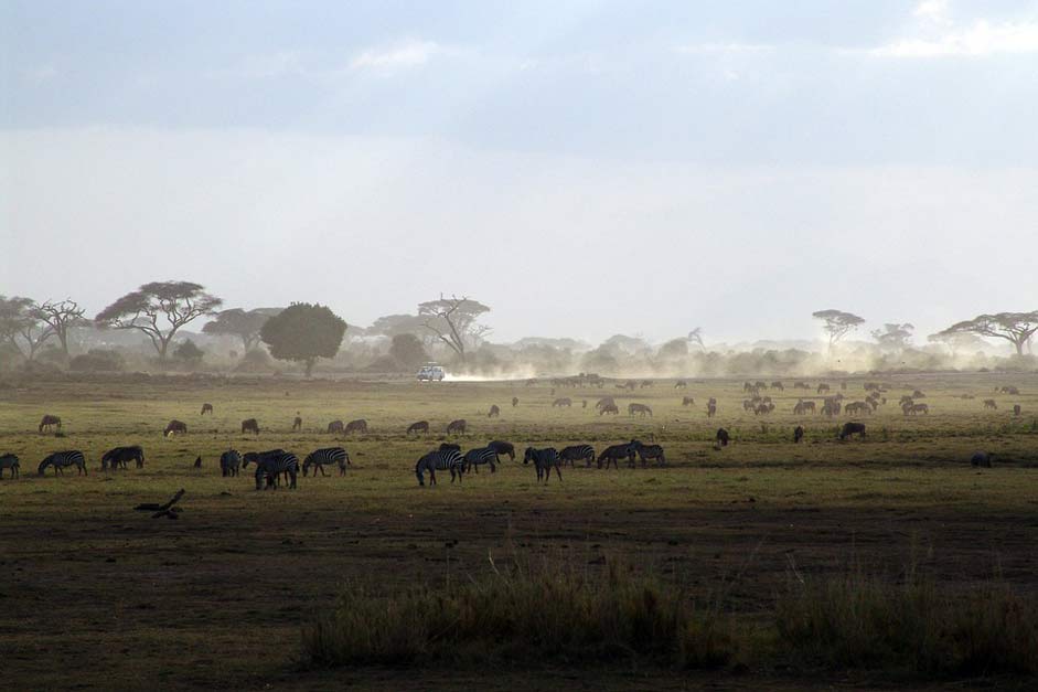 National-Park Africa Kenya Safari