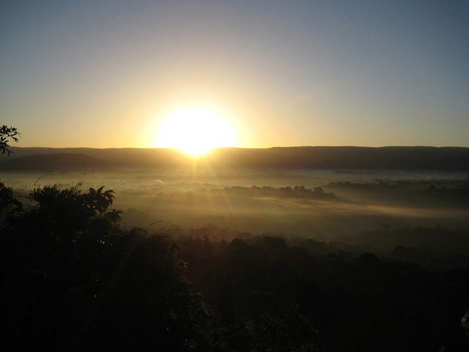 Kenya Kakamega Rainforest Sunrise