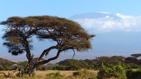 Kilimanjaro Amboseli-Np Africa Mountain Picture