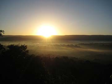 Sunrise Kenya Kakamega Rainforest Picture