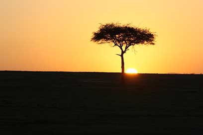 Masai-Mara Africa Sunset Kenya Picture