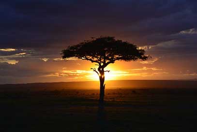 Africa Kenya Safari Sunset Picture