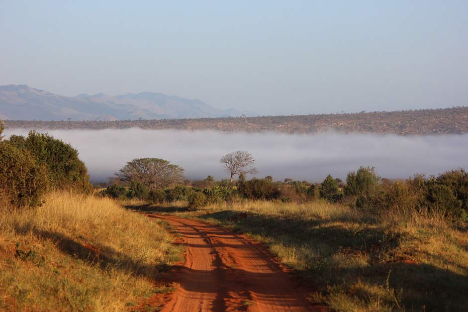 Morning Kenya Landscape Tsavo