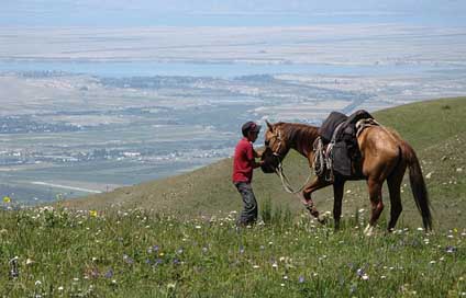 Karakol Nature Horse Kyrgyzstan Picture