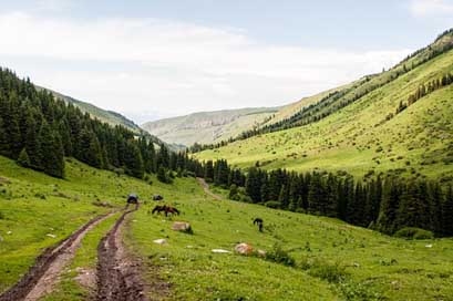 Mountains Animals Summer Sky Picture