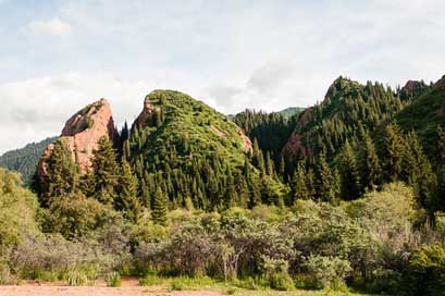 Mountains Forest Summer Sky Picture