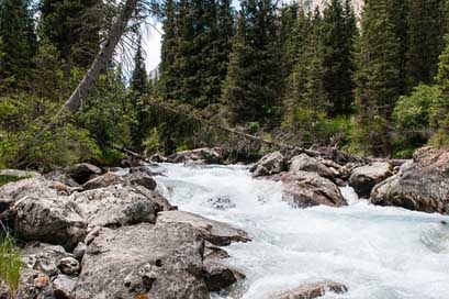 River Green Vacation Nature Picture