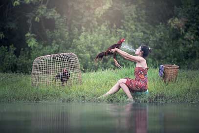 Woman Animals The-Bath River Picture