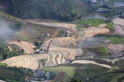 Blind-Stretch-Comb Vietnam Water Lao-Cai Picture