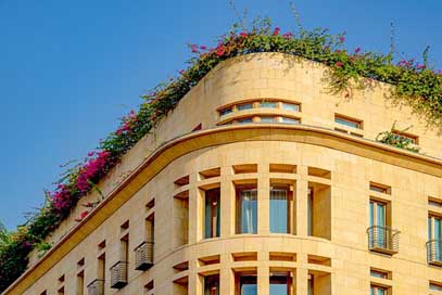 Building Greenery Flowers Facade Picture