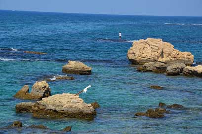 Lebanon Water Mediterranean Sea Picture