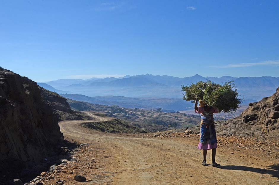 Burden Woman Africa Lesotho
