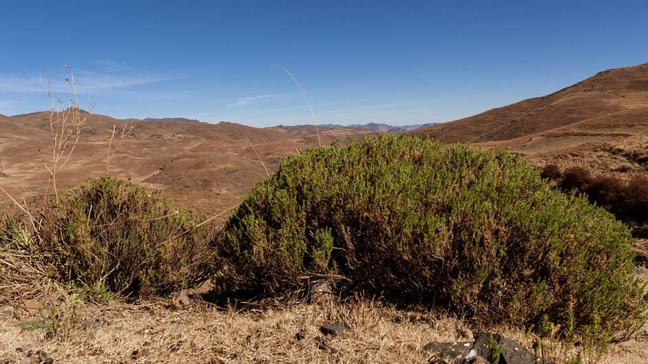 Landscape Mountains Africa Lesotho