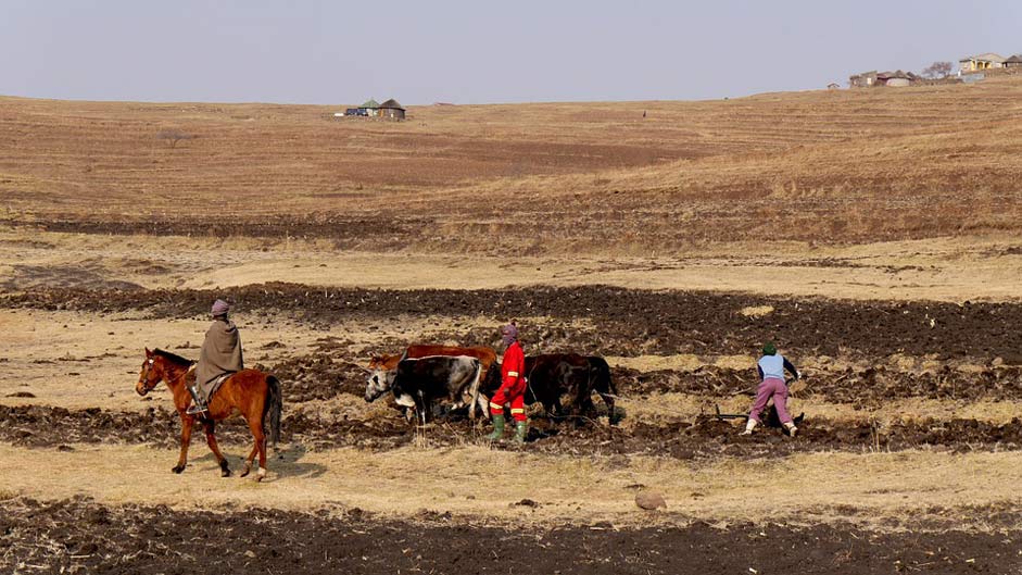 Plow Agriculture Mountain-Country Lesotho