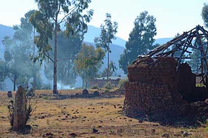 Africa Trees Hut Lesotho Picture