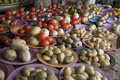 Lesotho Potatoes Market Africa Picture