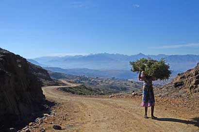 Lesotho Burden Woman Africa Picture