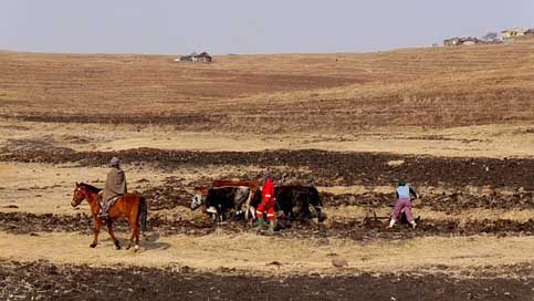 Lesotho Plow Agriculture Mountain-Country Picture